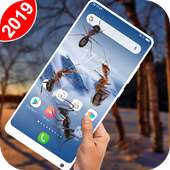 Ants on screen funny joke