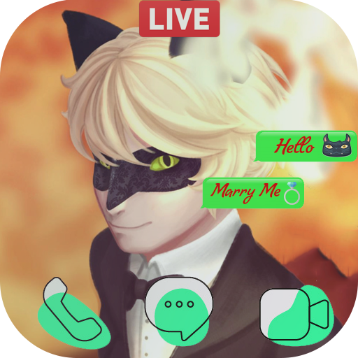 Fake Live Chat &amp; Call Video : Cat Ladybug Noir icon