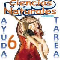 Ayuda para tu Tarea Ciencias Naturales 6 on 9Apps