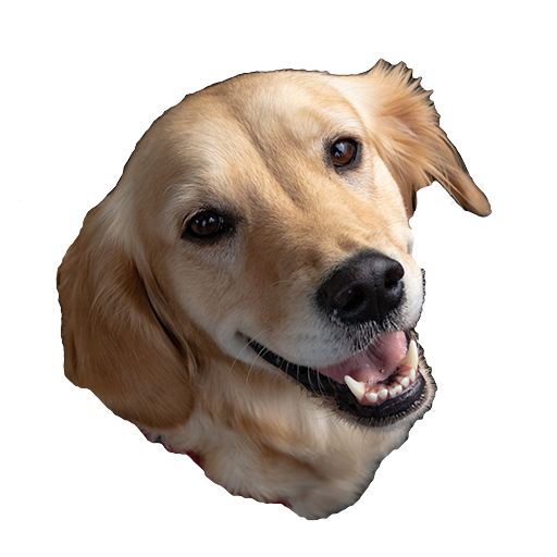 WAStickerApps – Animal Stickers icon