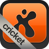 fanatix cricket icon