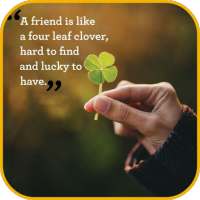 Friendship Quotes on 9Apps