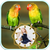 Birds photo frames icon