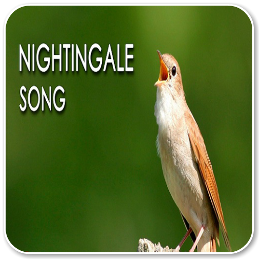 Nightingale Sound أيقونة