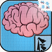 Is not Another Brain Game أيقونة