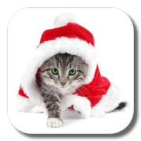 Christmas Cat Live Wallpaper