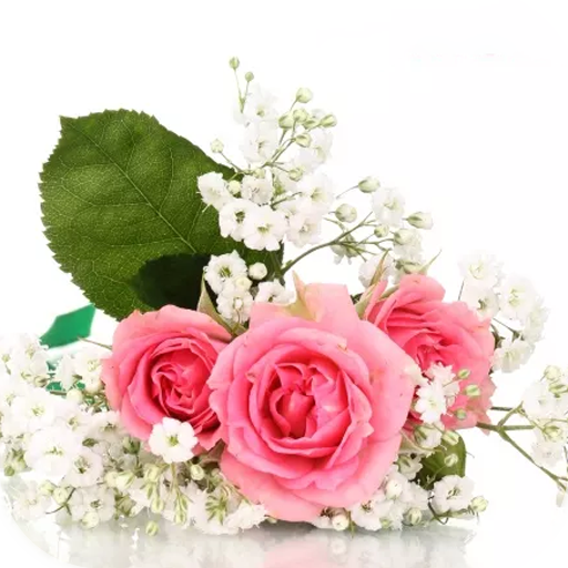 AppLock Theme  Pink Rose أيقونة