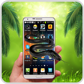 Boa Snake on Screen - Hissing prank أيقونة