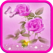 Bubble Rose Fee icon