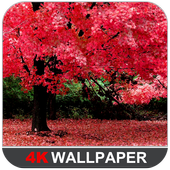 Spring Wallpapers icon