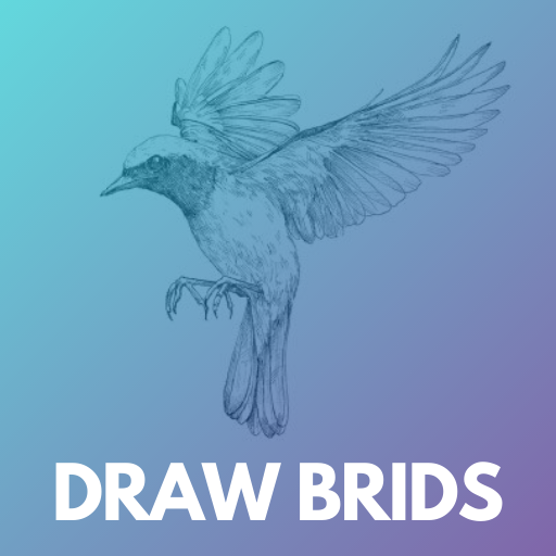 How to draw birds step by step easily icon