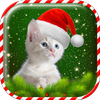 Christmas Cat Wallpaper icon