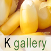 K gallery icon
