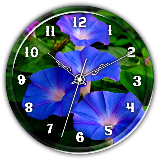 Morning Glory Clock Live WP icon