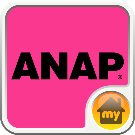 ANAP-ANAP INTERFACE Theme icon