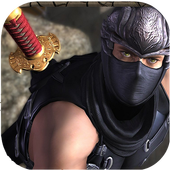 RPG Ninja Quest 3D icon