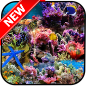 Coral Wallpaper icon
