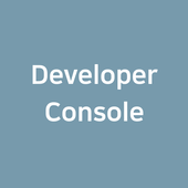 Developer Console icon
