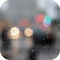 Rainy Day HD on 9Apps