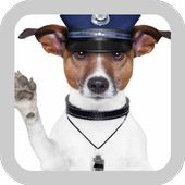 Cute Wallpapers Of Dogs icon