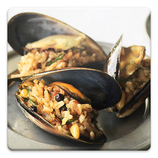Turkish Recipes icon