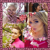 Sakura Photo Collage icon