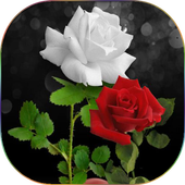 Flowers Gifs And Roses Live Wallpapers icon
