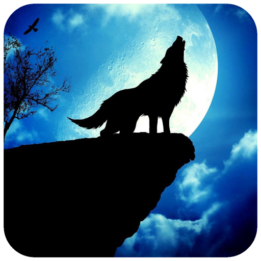 Fox Wallpaper HD icon