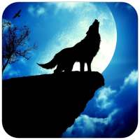 Fox Wallpaper HD on 9Apps