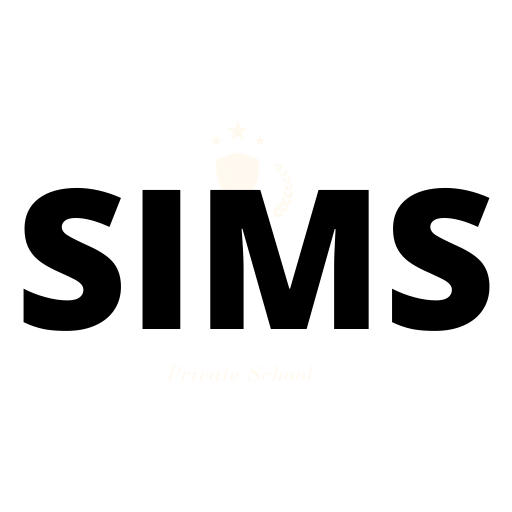 SIMS icon