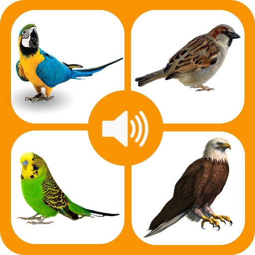 Bird Sounds icon