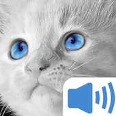 Meow Cat Sounds icon