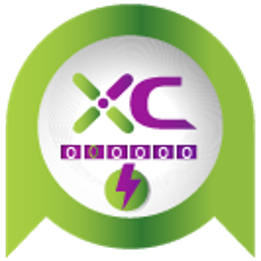 X-Citi icon