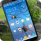 Spider on screen : Prank icon