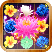 Blossom Crush icon