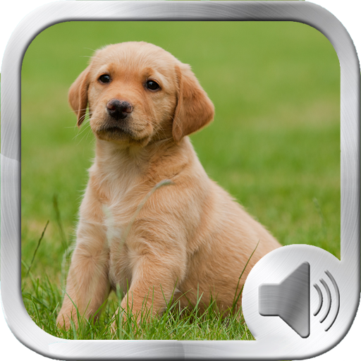 Dog Sounds Ringtones icon