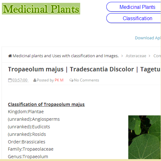 Medicinal plants  Uses icon