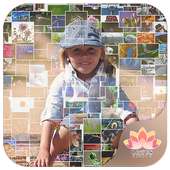 Mosaic Collage Photo Editor on 9Apps