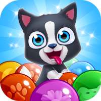 Pet Paradise: Bubble Pop Match