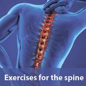 exercises for the spine on 9Apps