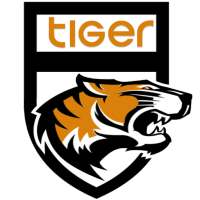 Tiger VPN Networks