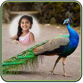 Peacock Photo Frames