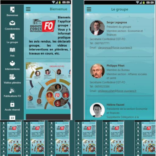 Groupe FO au CESE icon