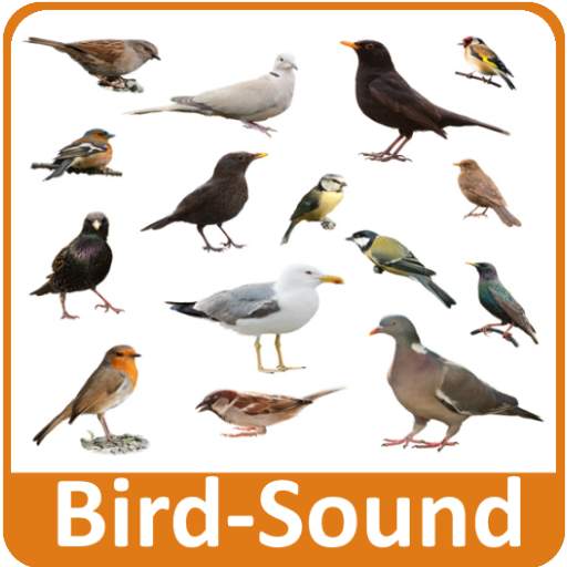 Bird Sounds