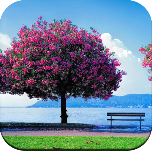 Spring wallpaper icon