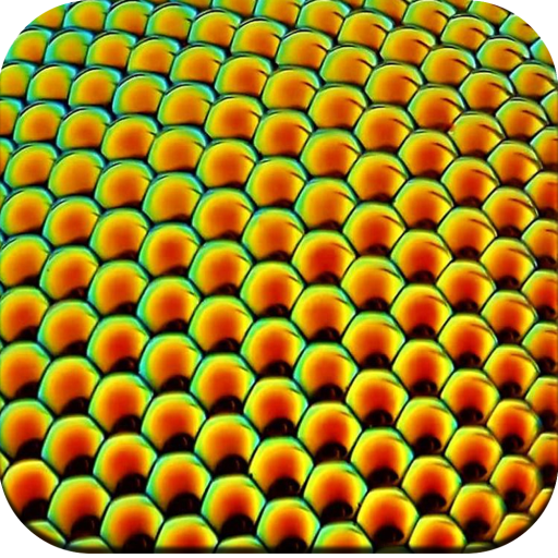 Macro HD Wallpaper icon