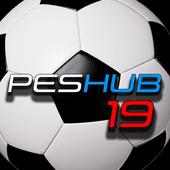 PESHUB 19