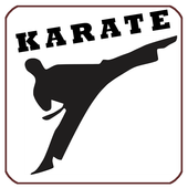 Karate Fight Training Lessons आइकन