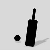 Cricket Game