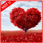 True Love Quotes icon